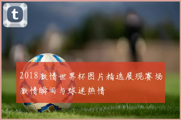 2018激情世界杯图片精选展现赛场激情瞬间与球迷热情